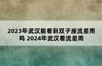 2023年武汉能看到双子座流星雨吗 2024年武汉看流星雨